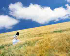 php个‌人​网‌页﻿源​码​